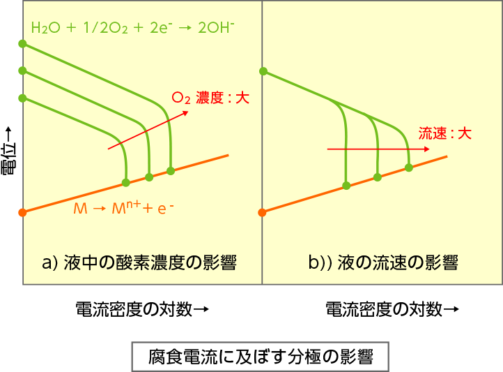 腐食電流に及ぼす分極の影響